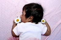 Amira