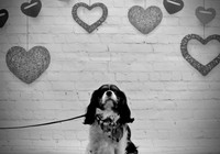 Chico