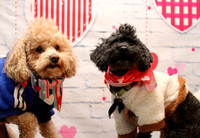 Favs-Charlie & Max